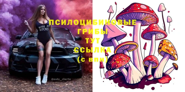 кокаин колумбия Заводоуковск