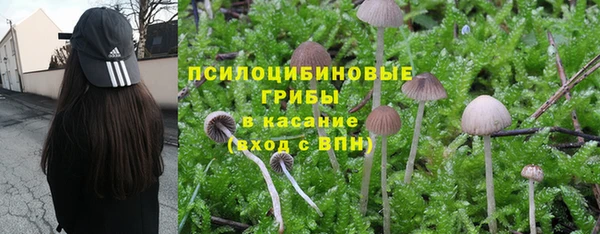 кокаин колумбия Заводоуковск